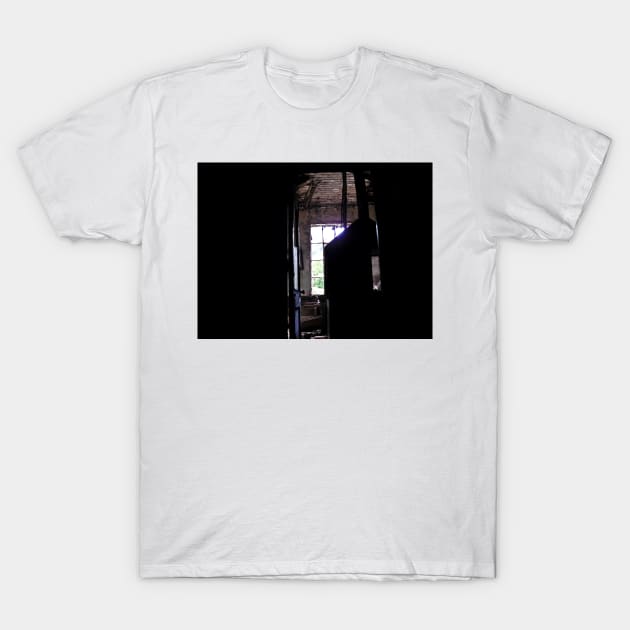 Swinging Door T-Shirt by PaulLu